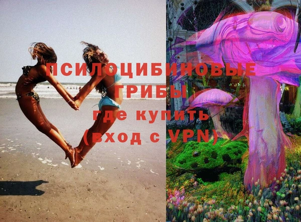 шишки Беломорск