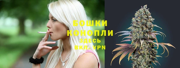 прущие грибы Богородск