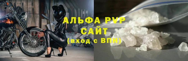 шишки Беломорск