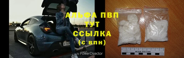 прущие грибы Богородск