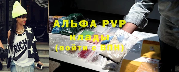 прущие грибы Богородск