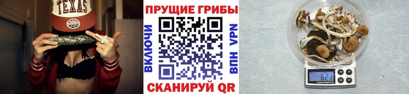 hydra онион  Киржач  Псилоцибиновые грибы MAGIC MUSHROOMS 